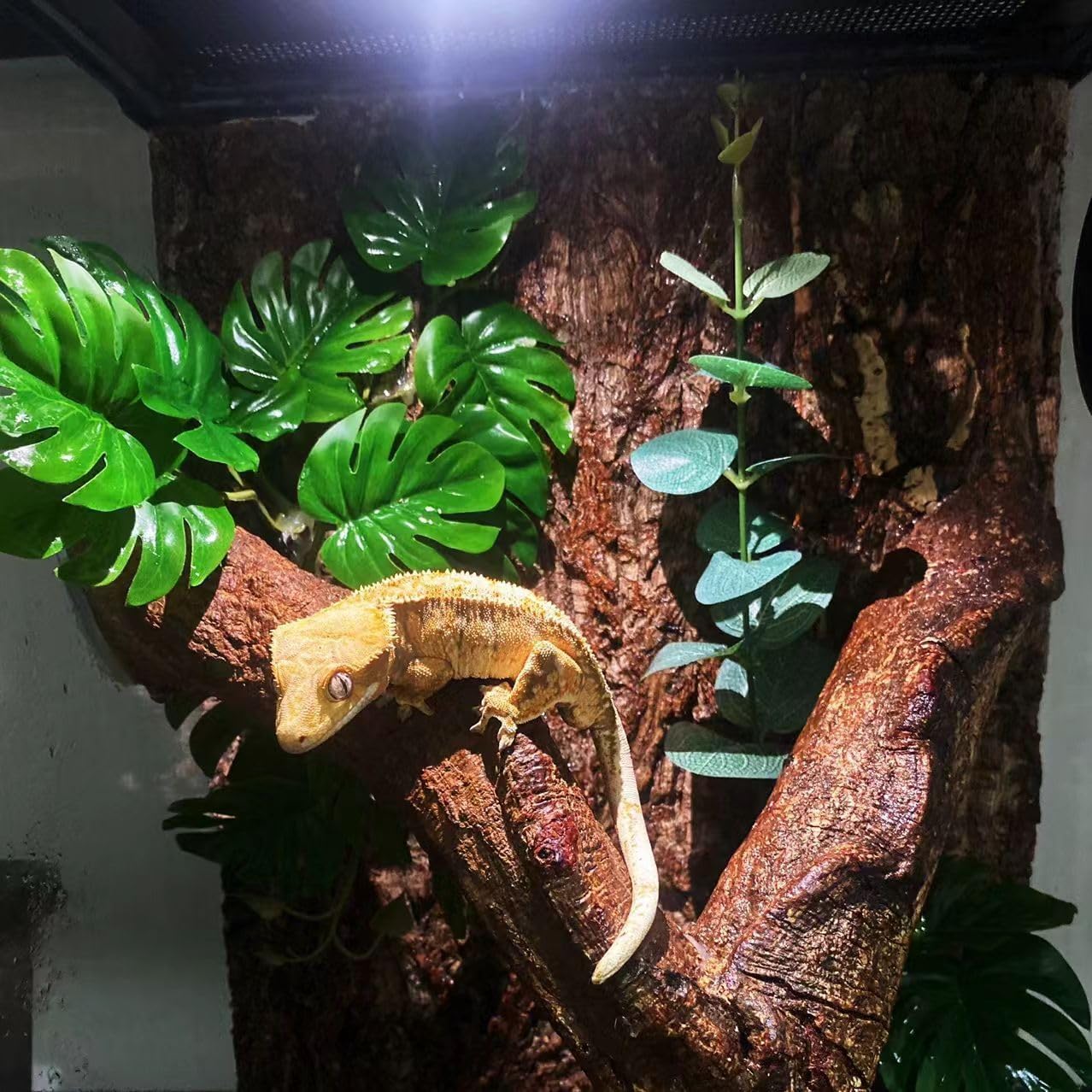 PIKAZISO multi-reptile decor suits bearded dragons, geckos, and snakes