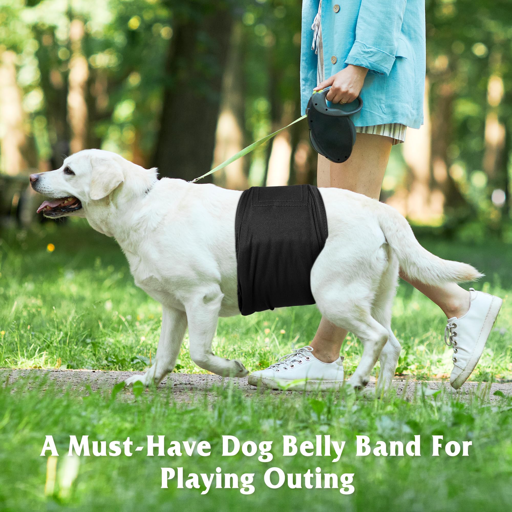 Pilviset adjustable Velcro belly band with snug fit for active dogs.