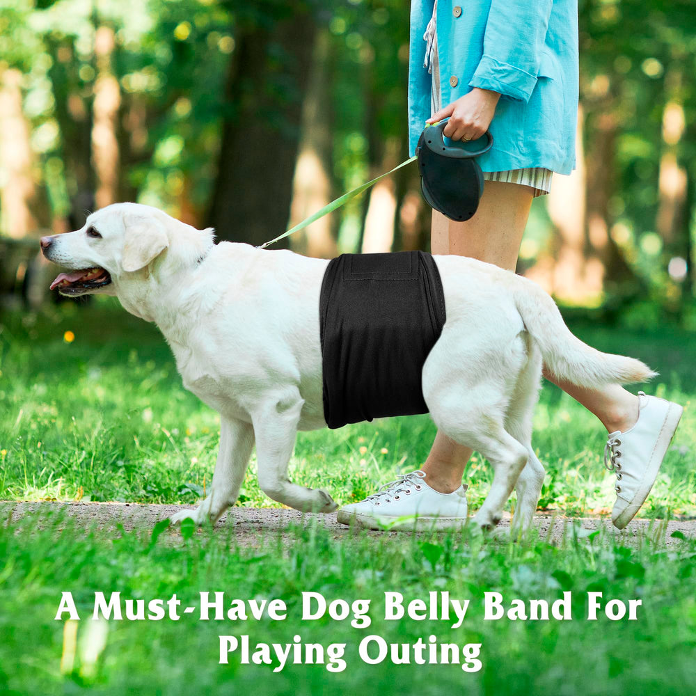 Pilviset adjustable Velcro belly band with snug fit for active dogs.