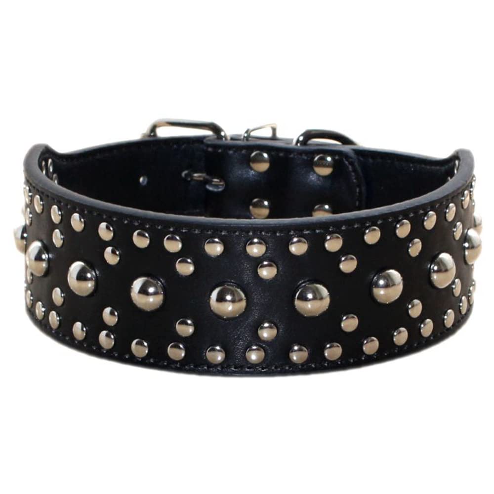 Pimaodog studded collar close-up shows durable PU leather and secure D-ring for daily walks