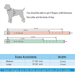 Pimaodog studded collar close-up highlighting faux leather and hardware durability.