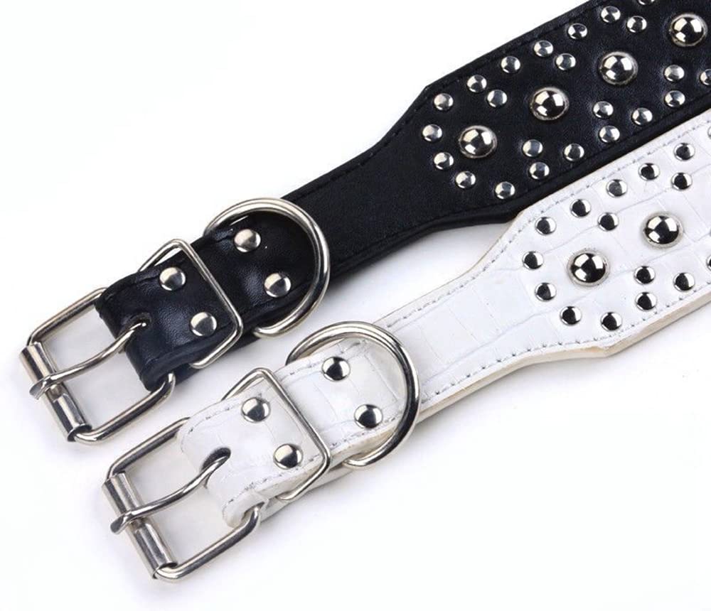 Pimaodog studded dog collar metal hardware closeup showing nickel-plated hardware