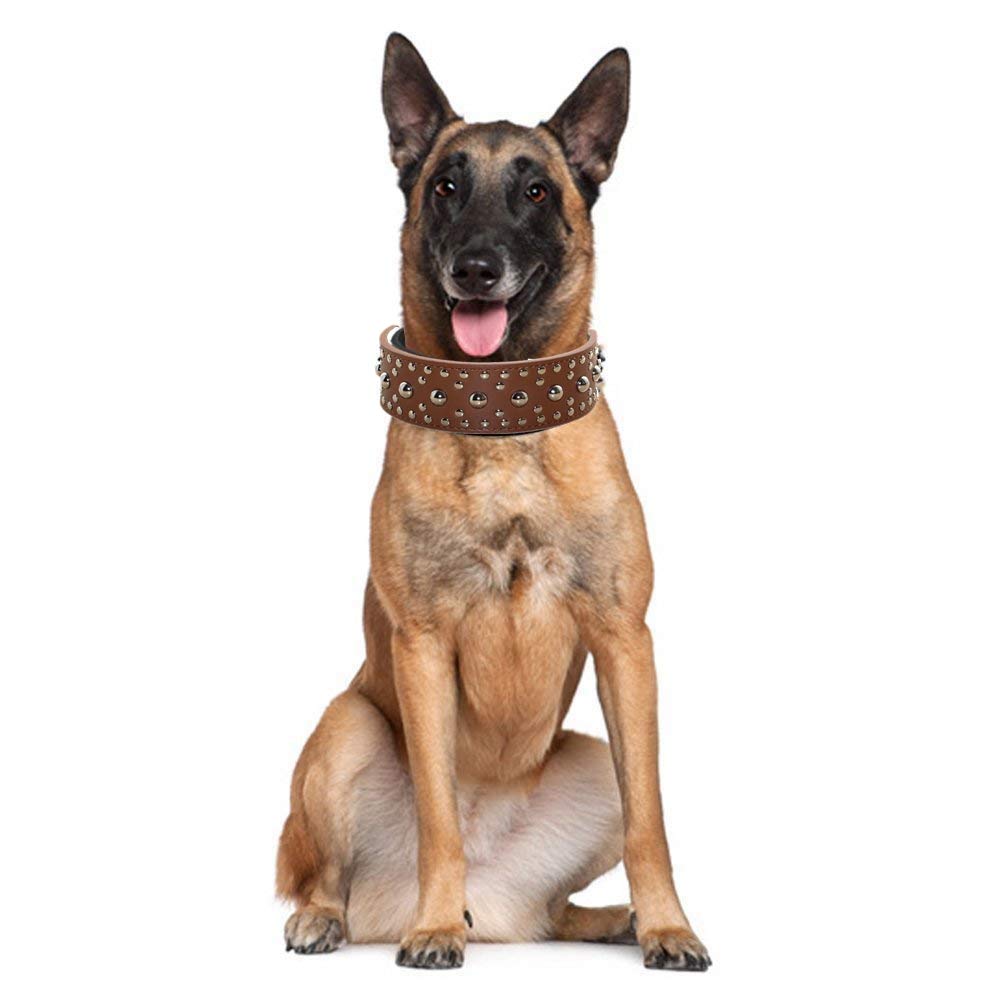 Pimaodog studded dog collar size illustration shows neck ranges for easy fit