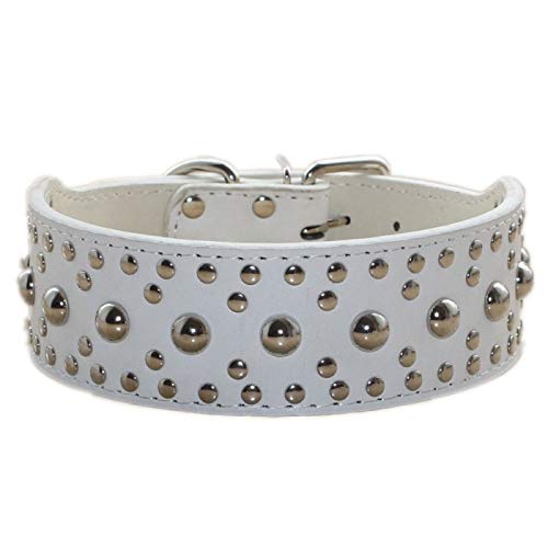 Pimaodog studded dog collar white front view ideal for daily walks