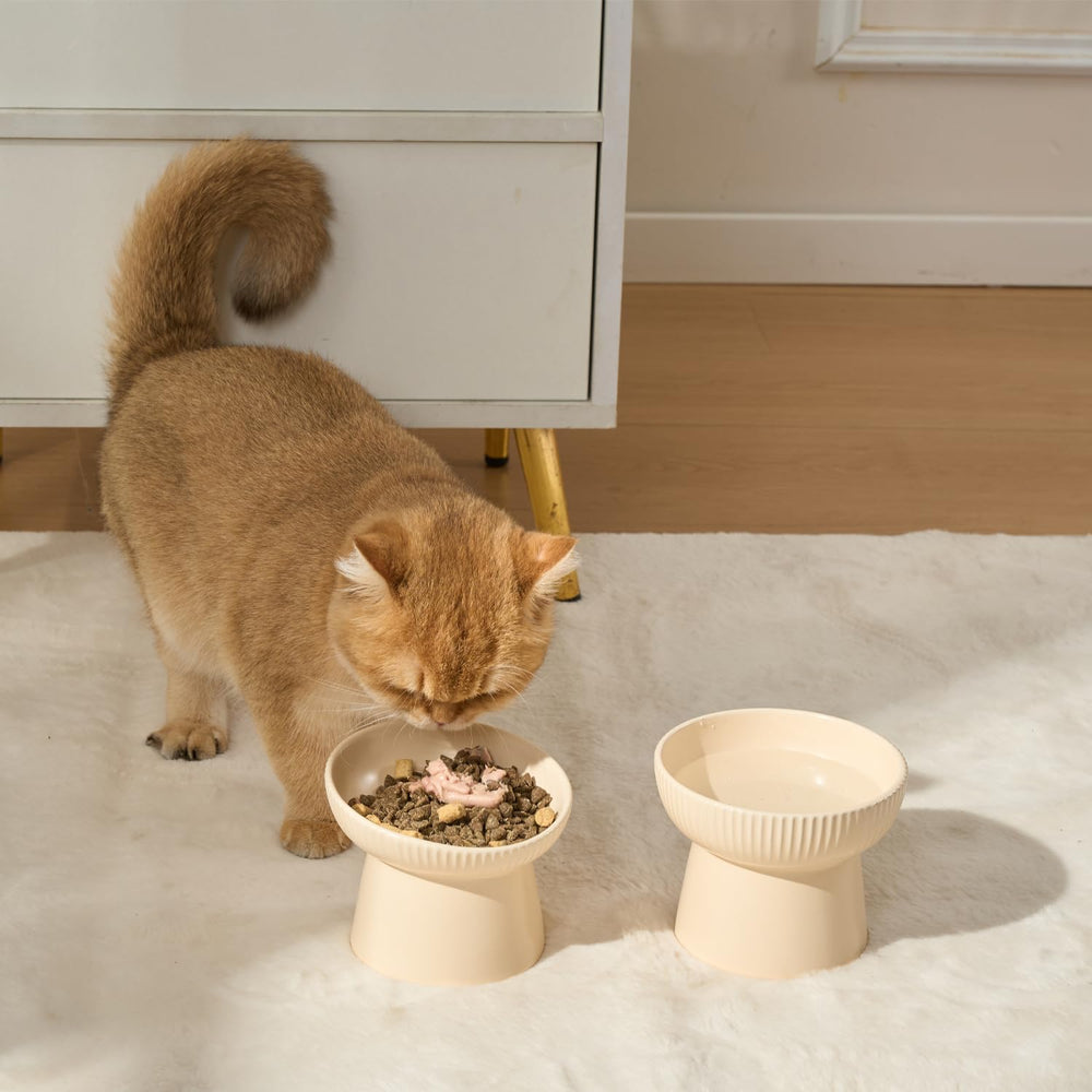 Pin Forest multi-use feeding bowl suits pets with shared feeding needs.