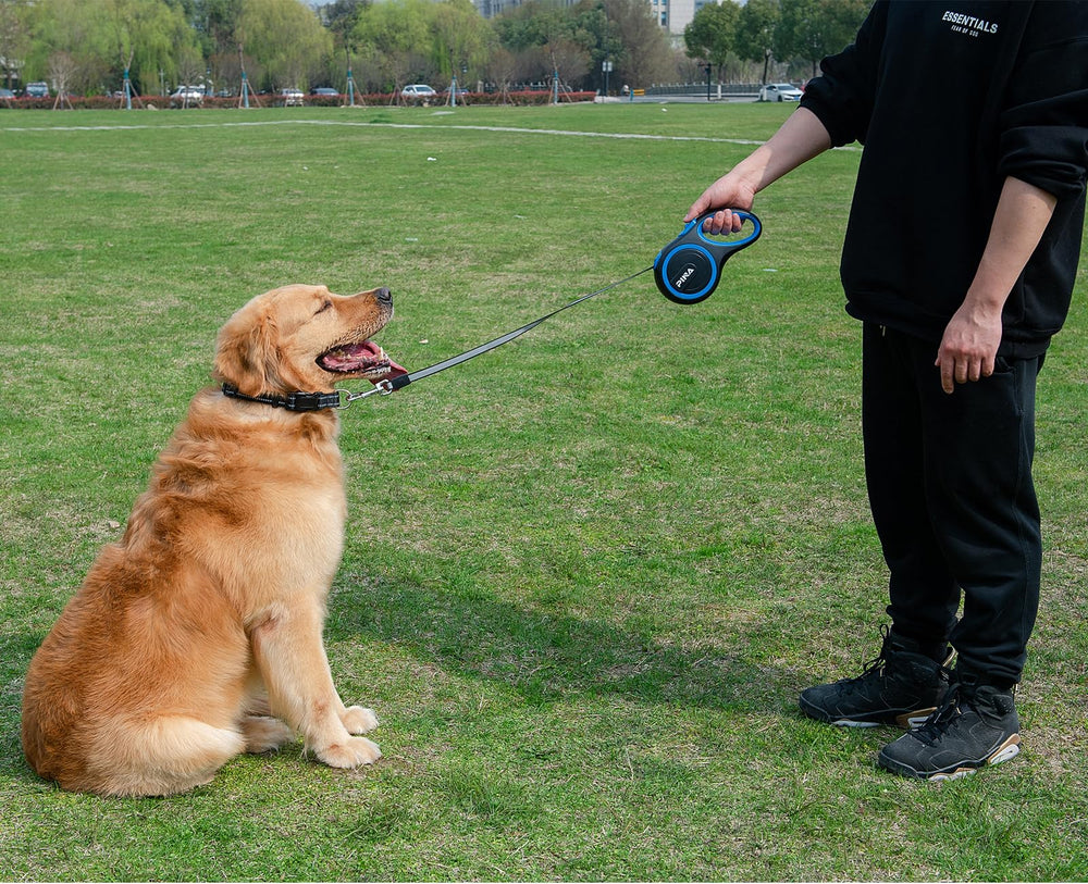 Pina leash with waste bag dispenser and bags for on-the-go cleanup