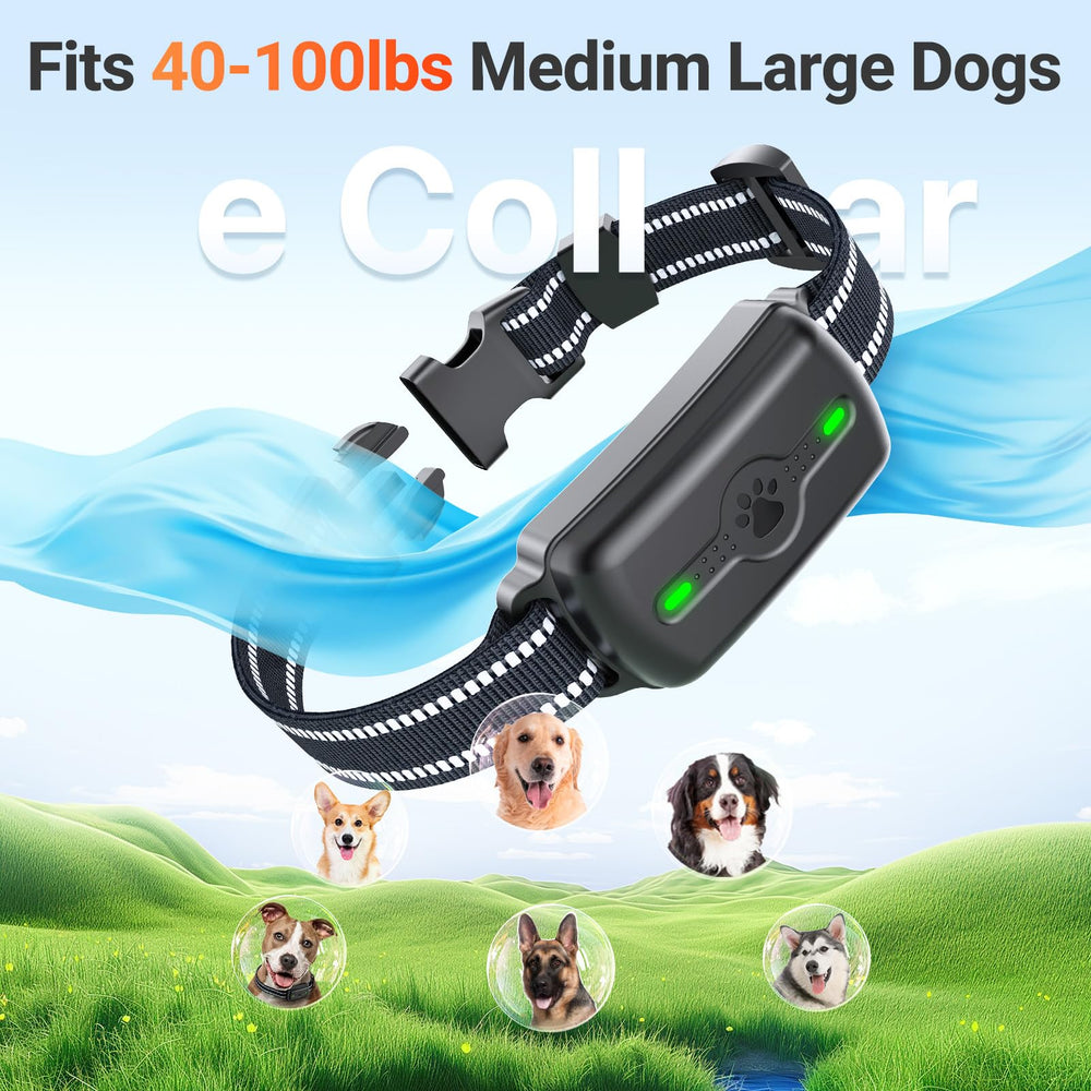 PINCOFIO four-channel dog training enables training multiple dogs in one session.