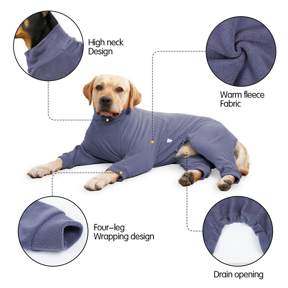 Pinellia dog winter coat high collar protects neck from wind.