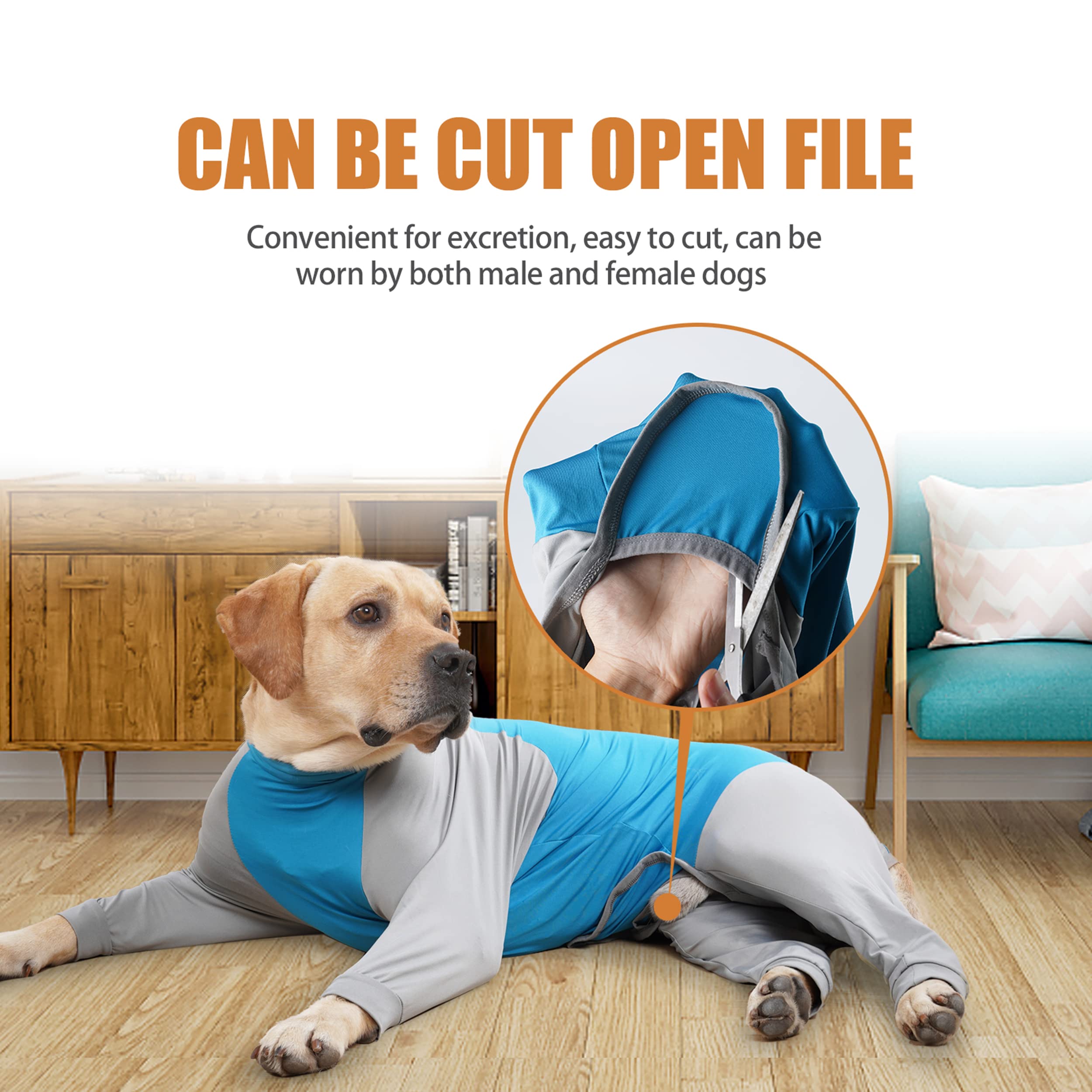 Pinellia e-collar alternative recovery wear keeps pets from licking wounds.