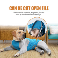 Pinellia e-collar alternative recovery wear keeps pets from licking wounds.