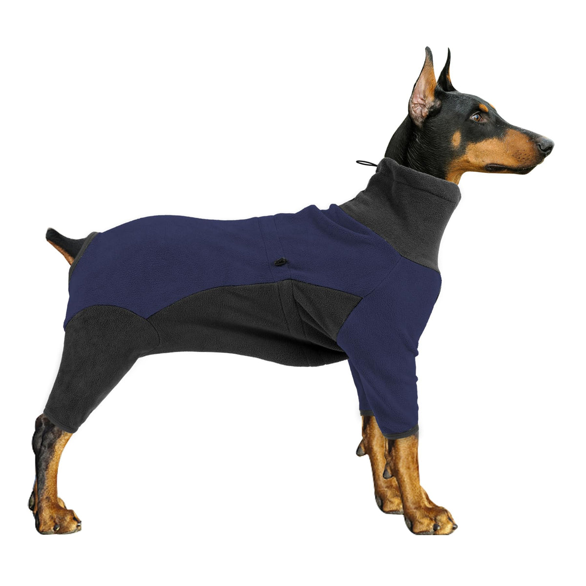Pinellia warm fleece dog jacket blue front view provides wind protection and cozy warmth