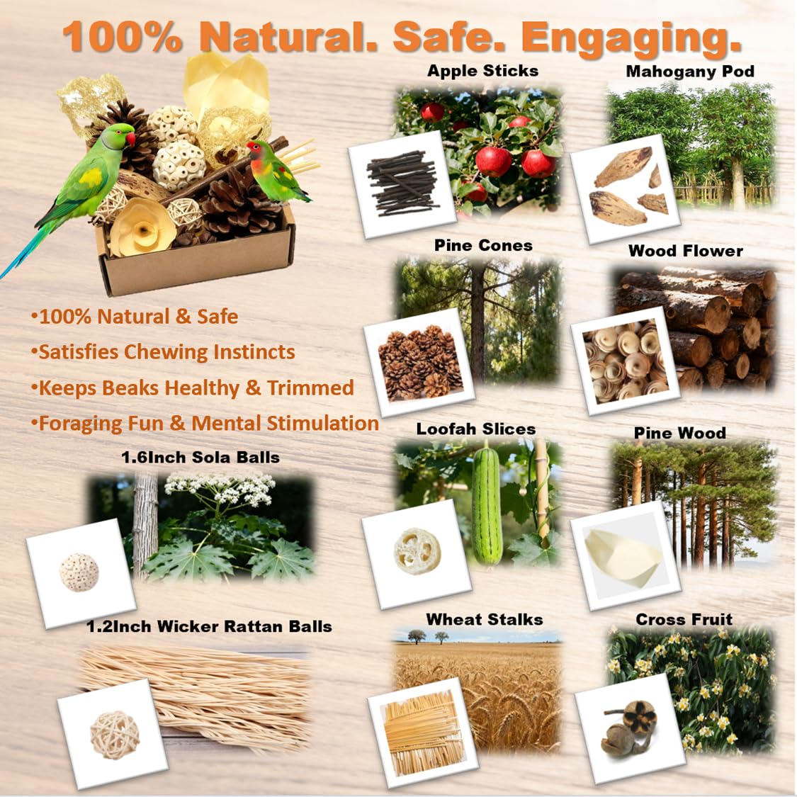 PINEPOP natural materials apple sticks and mahogany pod promote safe chewing.