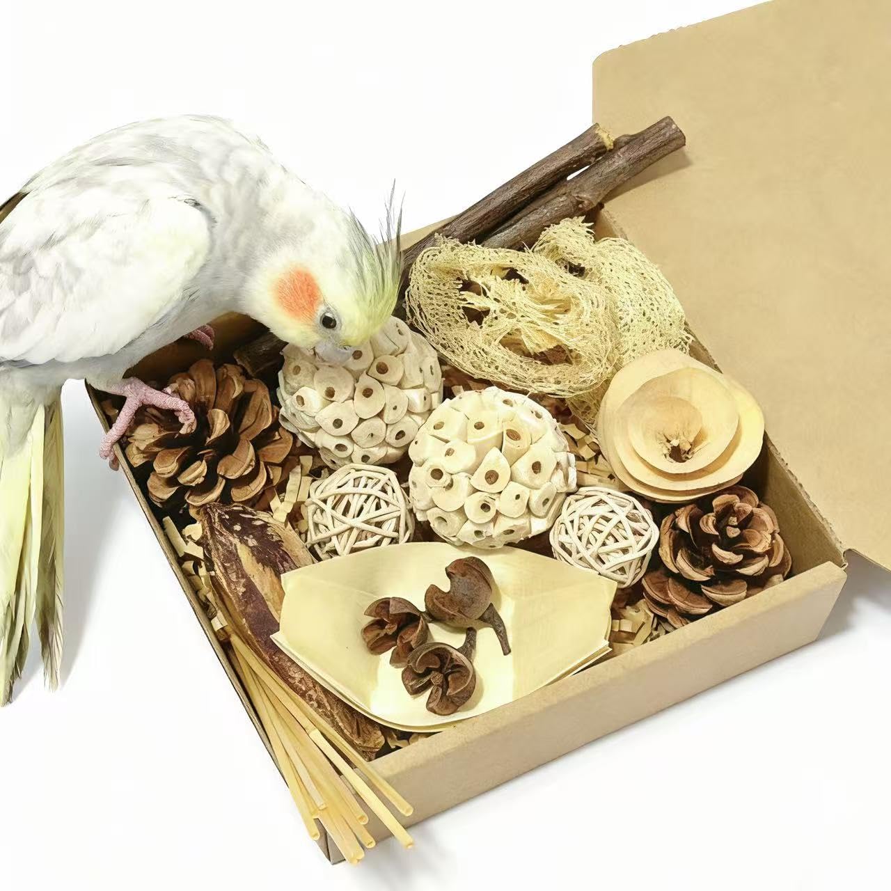 PINEPOP Sola Ball Foraging Box enrichment with varied textures for parrots.