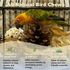 PINEPOP wicker rattan balls provide tactile exploration and play.