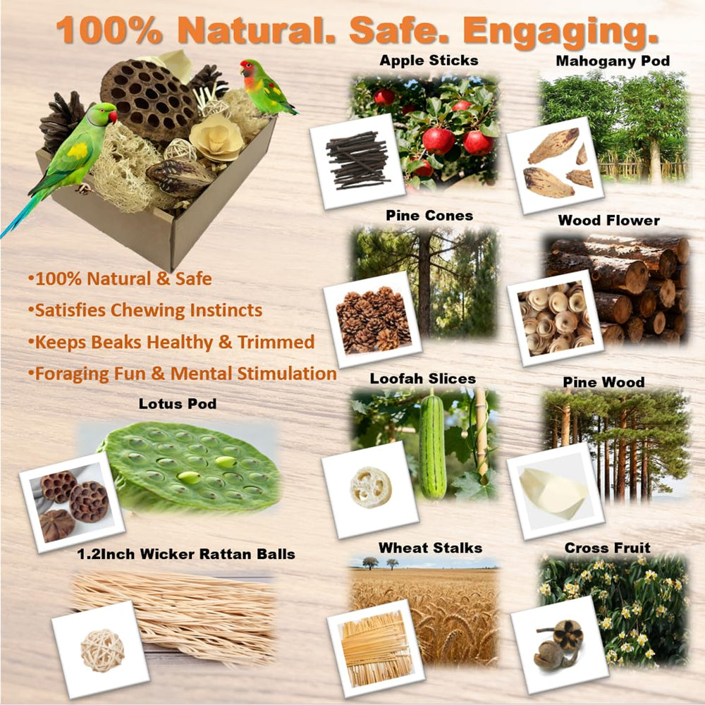 PINEPOP foraging box contents displayed with varied textures for birds