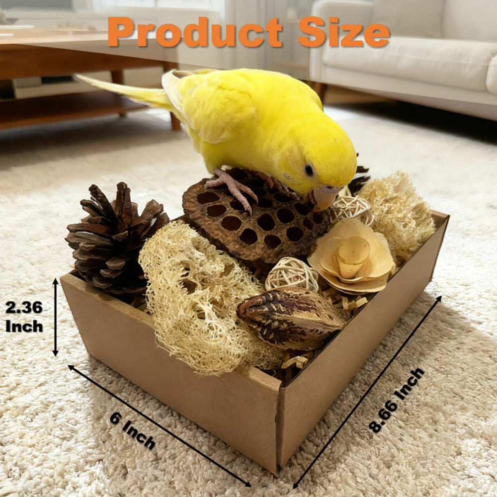 PINEPOP natural materials close-up showcasing earthy textures