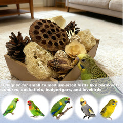 PINEPOP parrot toy being pecked to stimulate natural foraging