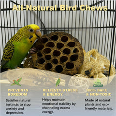 PINEPOP refill option with treats to extend playtime