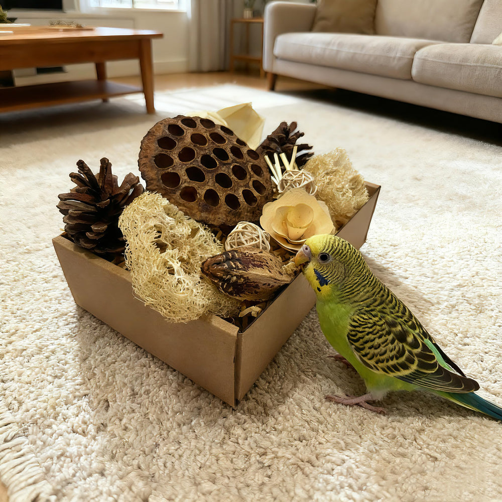 PINEPOP naturally varied contents reflecting authentic per-box variations