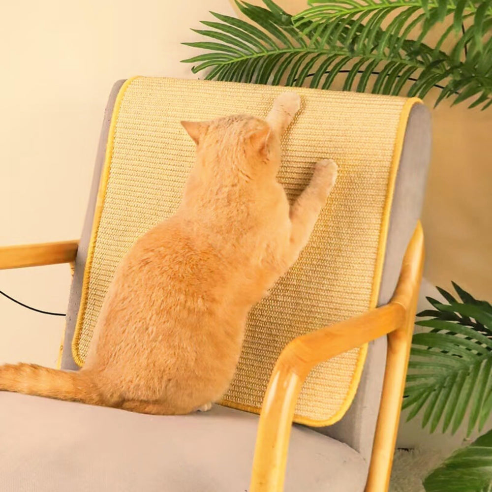 pingping-go cat scratching mat jute border close-up highlights stylish edge.