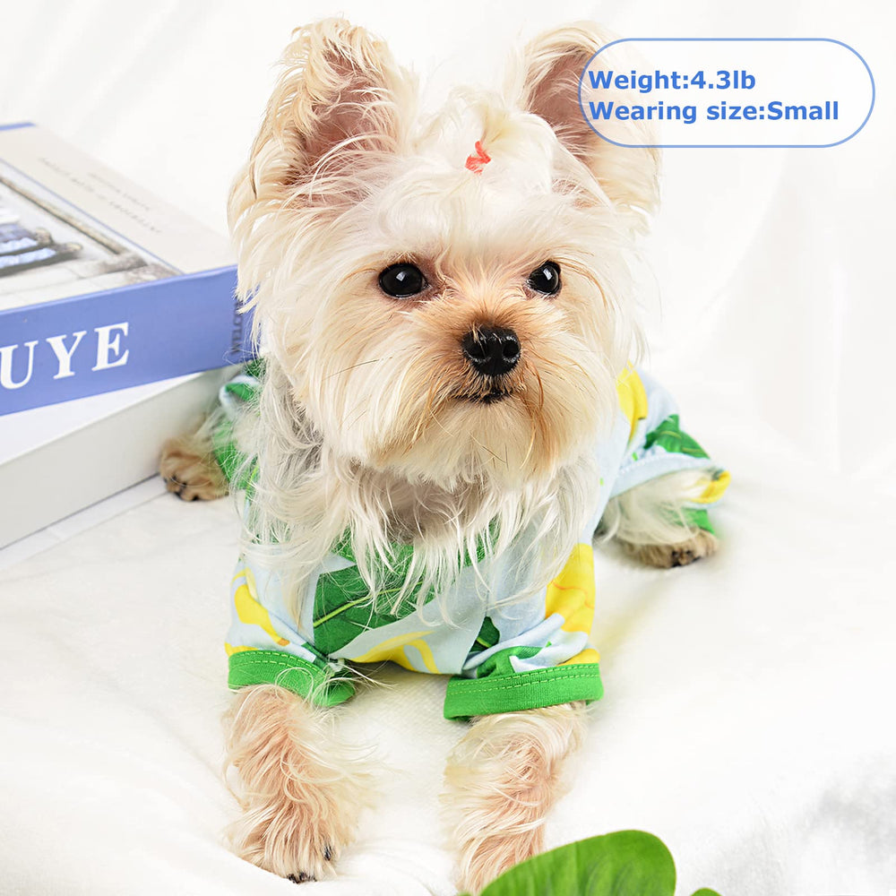 PinkBow belly-cut detail image, comfortable potty-friendly fit for small dogs
