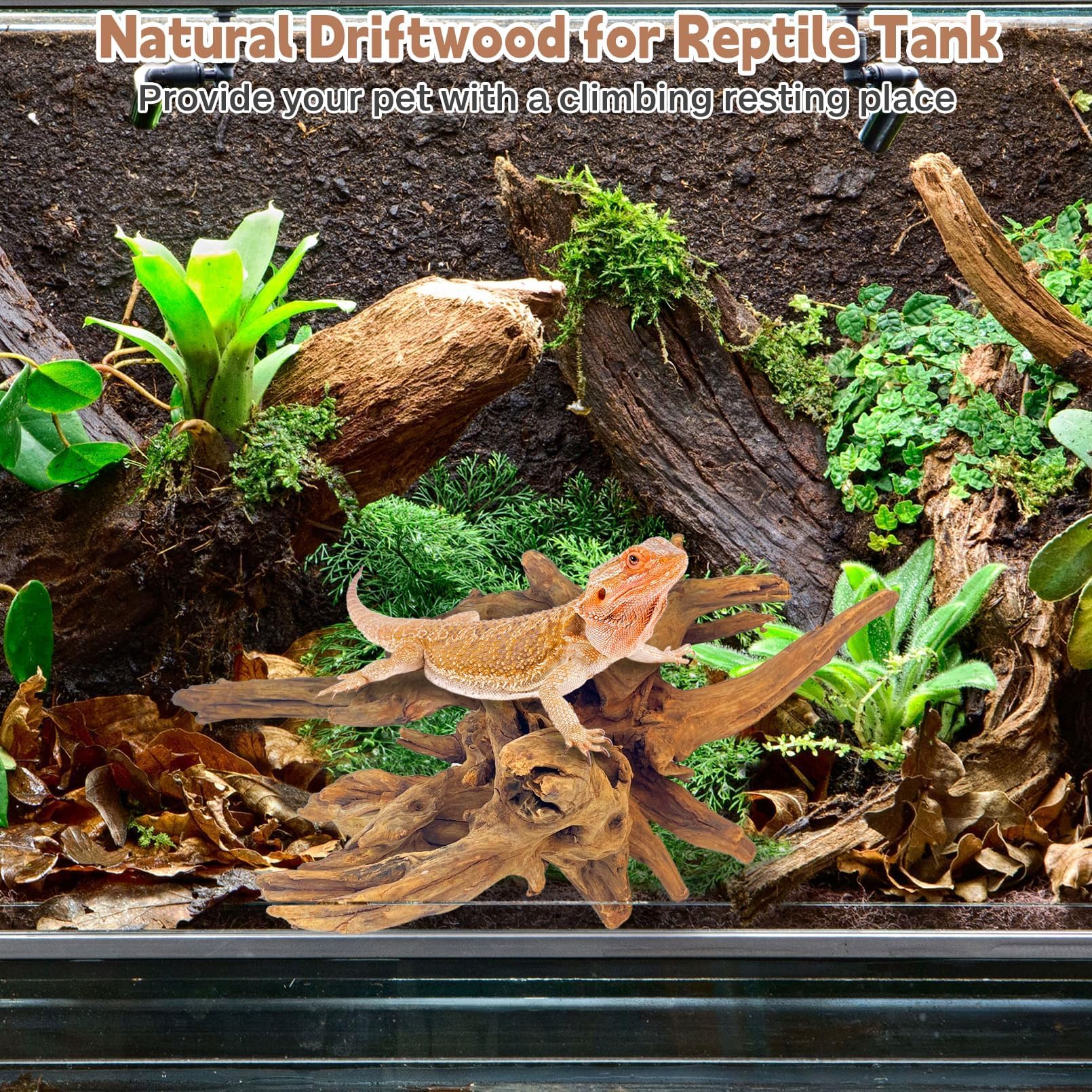 PINVNBY driftwood aquarium decor focal point enhances tank aesthetics and authenticity