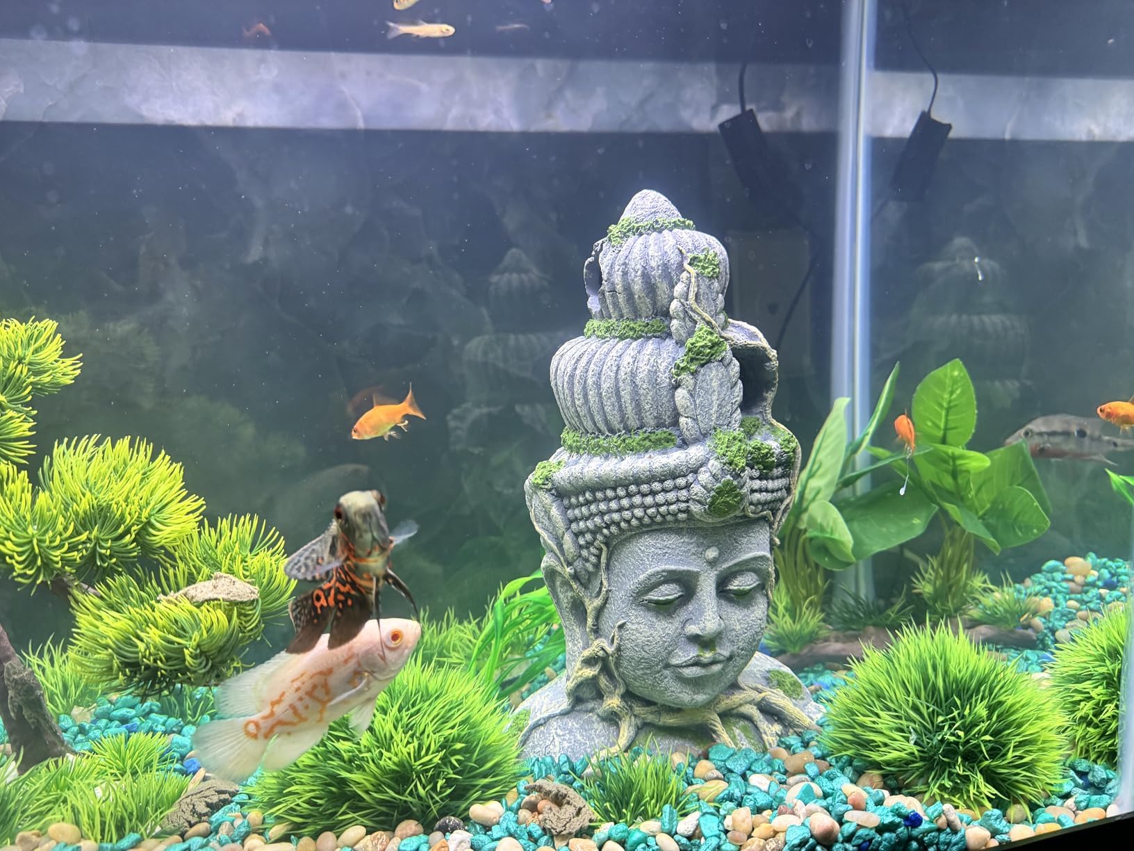 PINVNBY Buddha head colors brighten aquariums and ambiance
