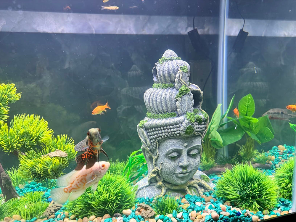 PINVNBY Buddha head colors brighten aquariums and ambiance