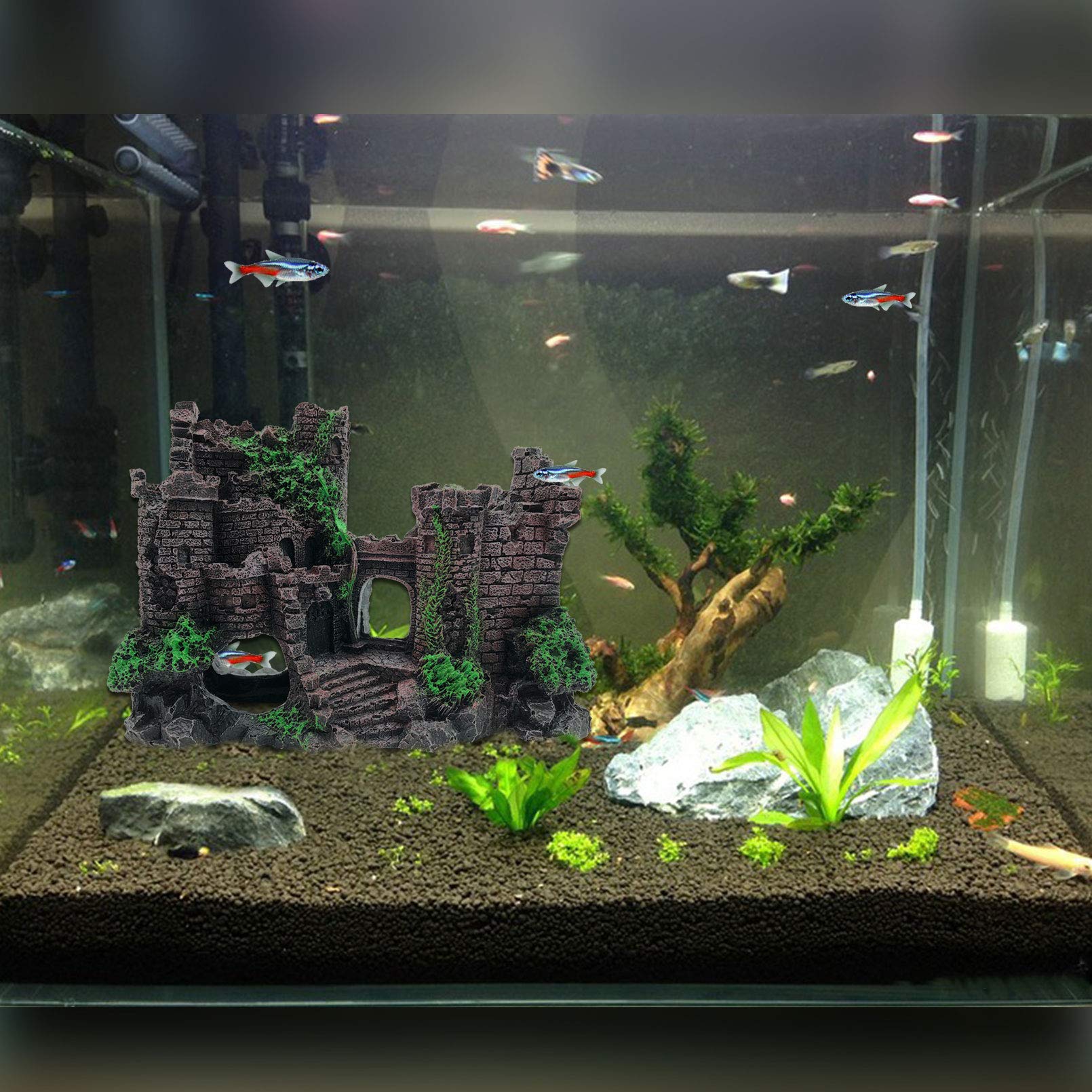 PINVNBY arboreal habitat accessory kit supports exploration and stress reduction.