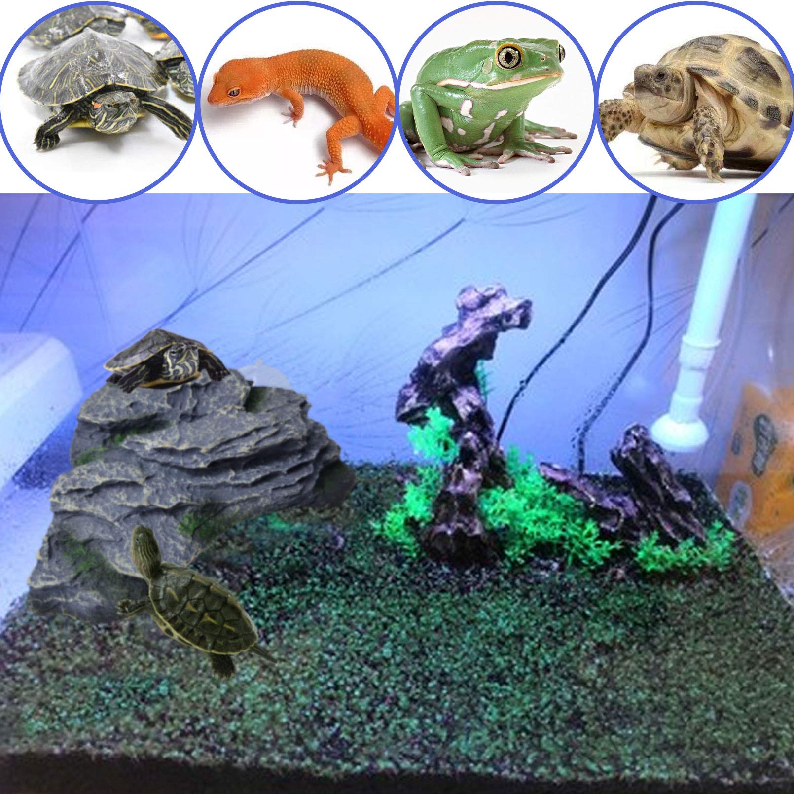 PINVNBY basking platform supports multiple small pets in a single habitat.