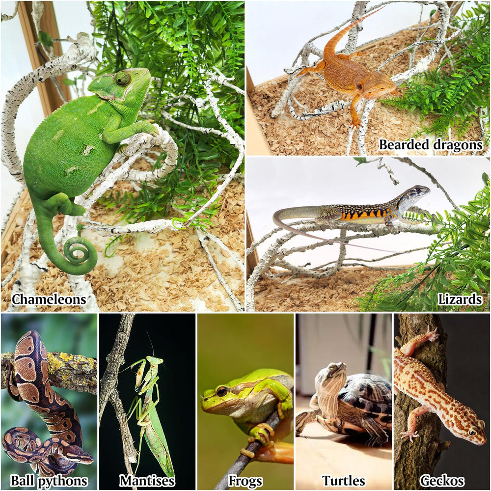 PINVNBY bendable iron-wire vines maintain shape for terrarium landscaping.