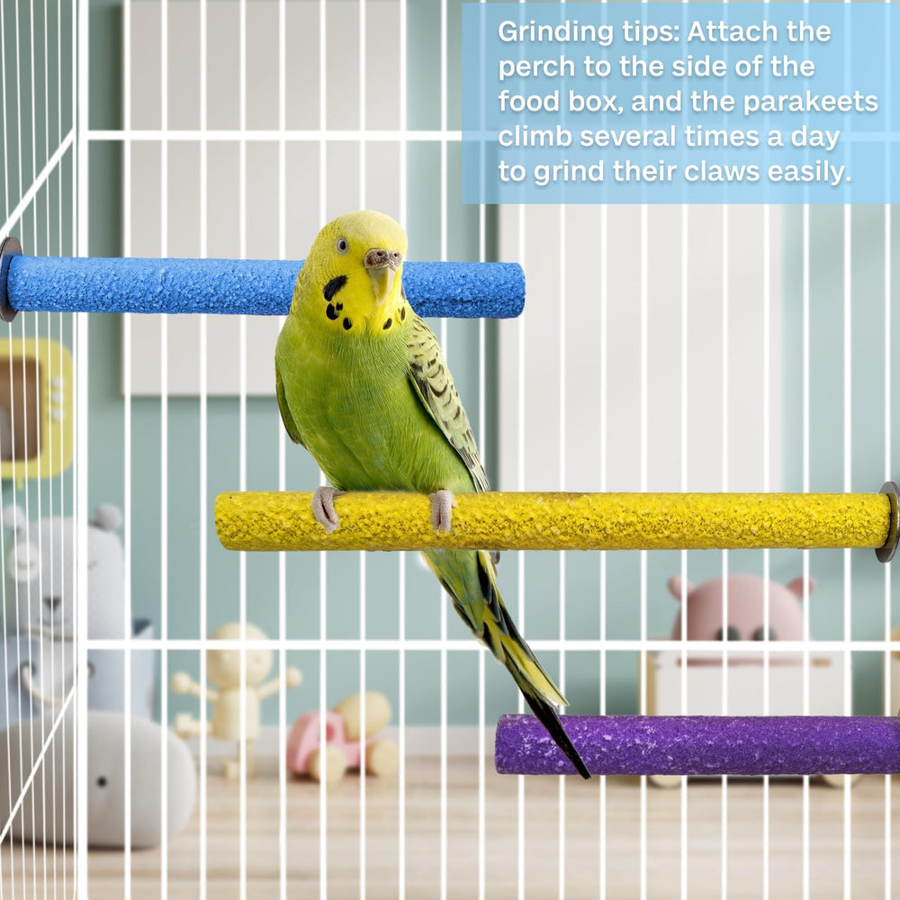 PINVNBY bird cage toy platform adds an interactive surface for play.