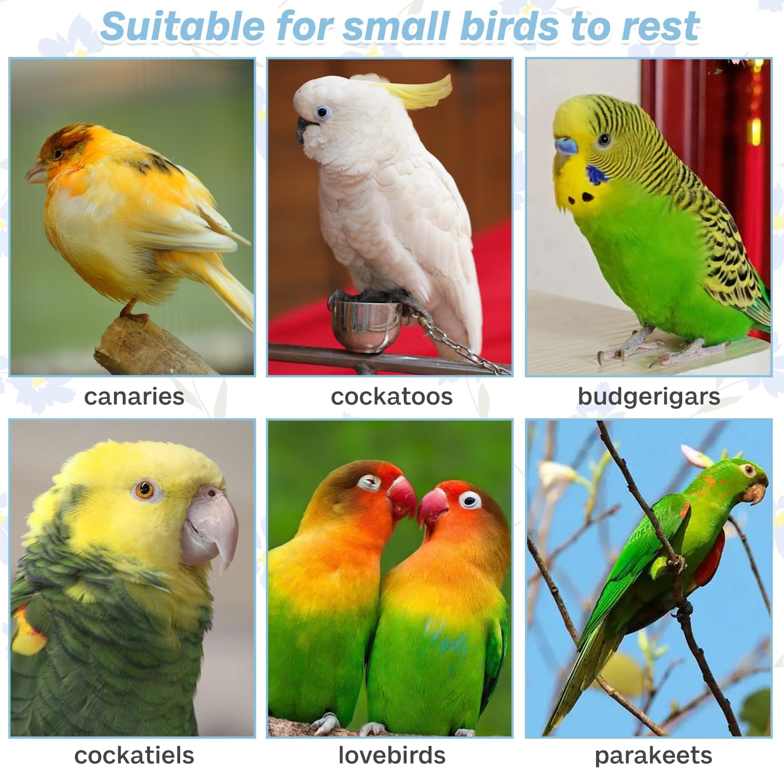 PINVNBY bright color parrot perch attracts attention and stimulates curiosity.