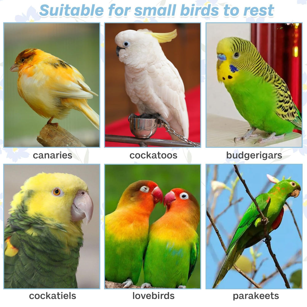 PINVNBY bright color parrot perch attracts attention and stimulates curiosity.