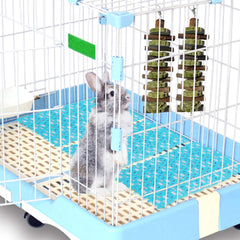 PINVNBY Bunny chew timothy hay cakes support digestion with tasty texture.