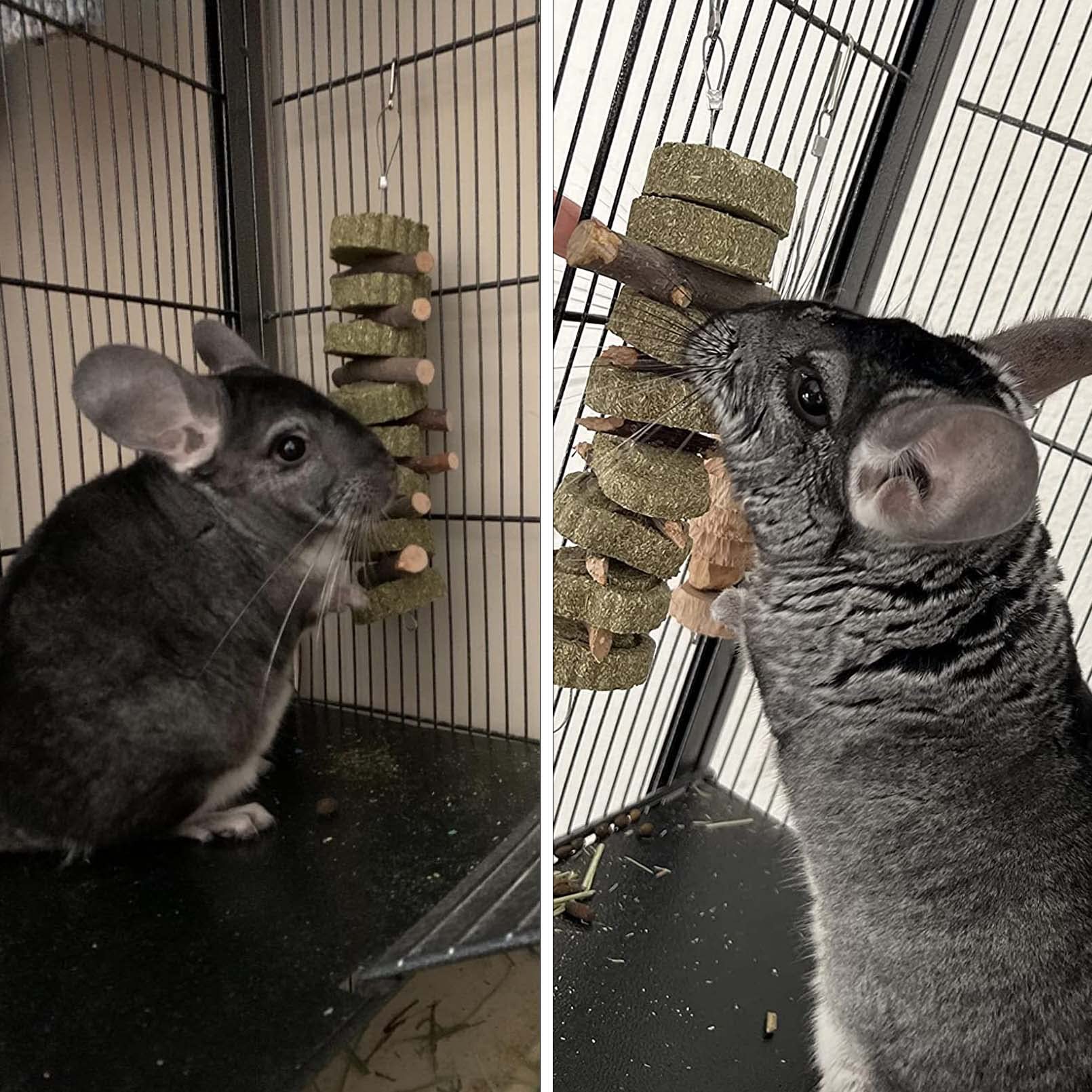PINVNBY Bunny chew toy hanging-mount shown for easy cage attachment during play.