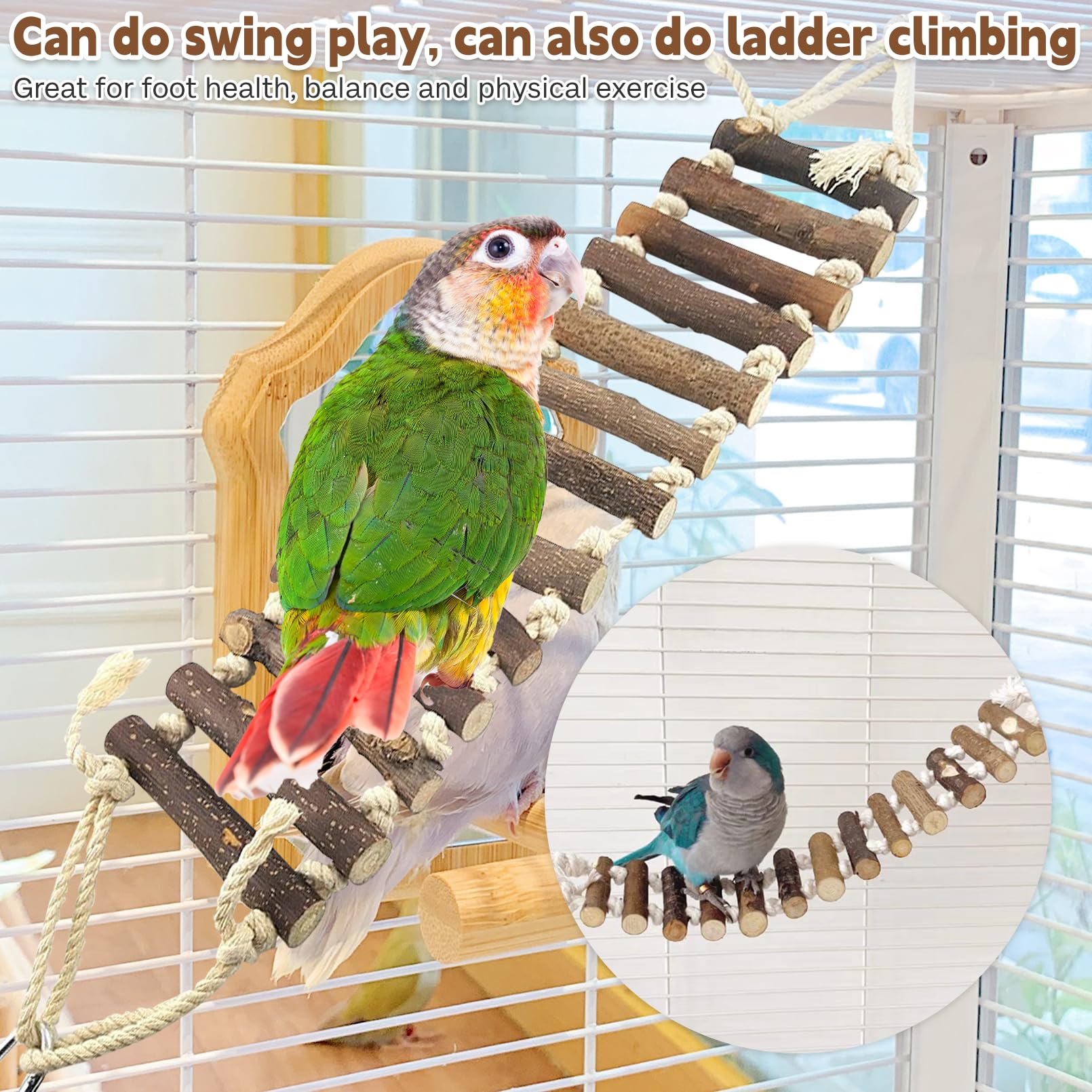 PINVNBY cage accessory installable ladder for easy setup and space-saving cages