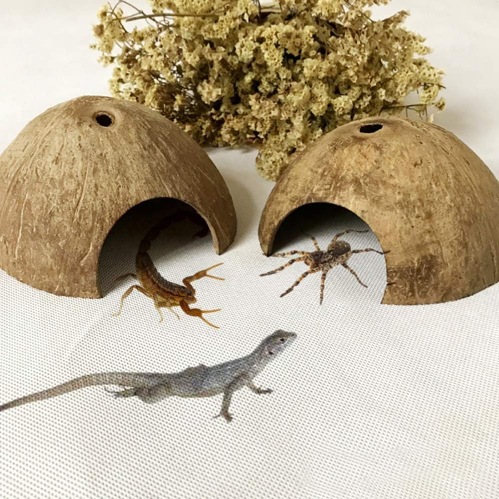 PINVNBY coconut hide measures 5.31x3.74 inches for cozy reptile retreats.