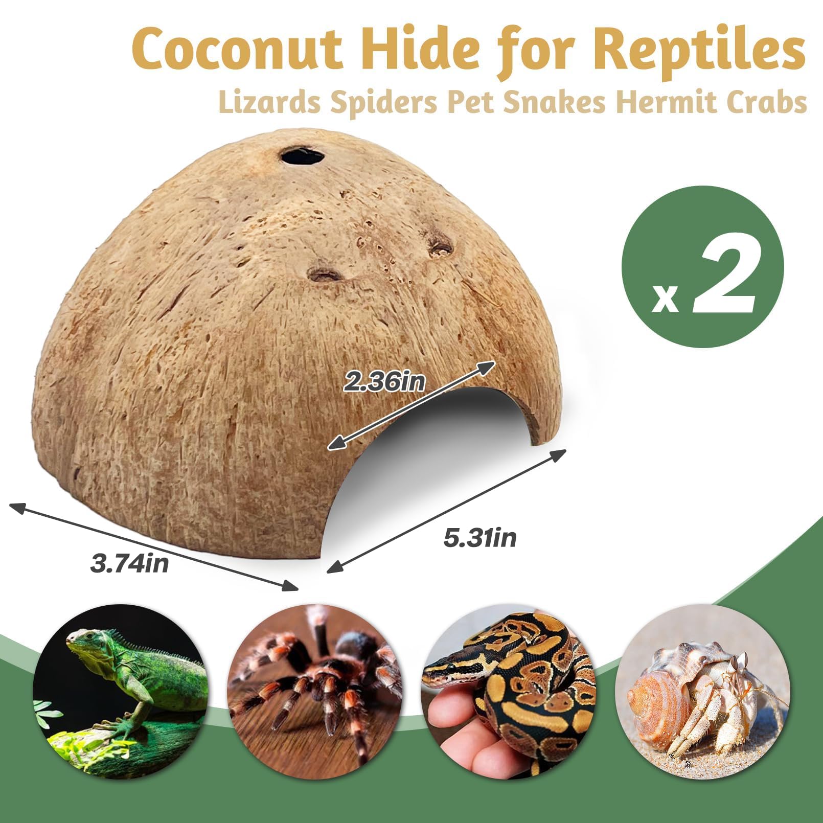 PINVNBY coconut hide with textured surface invites climbing and enrichment.