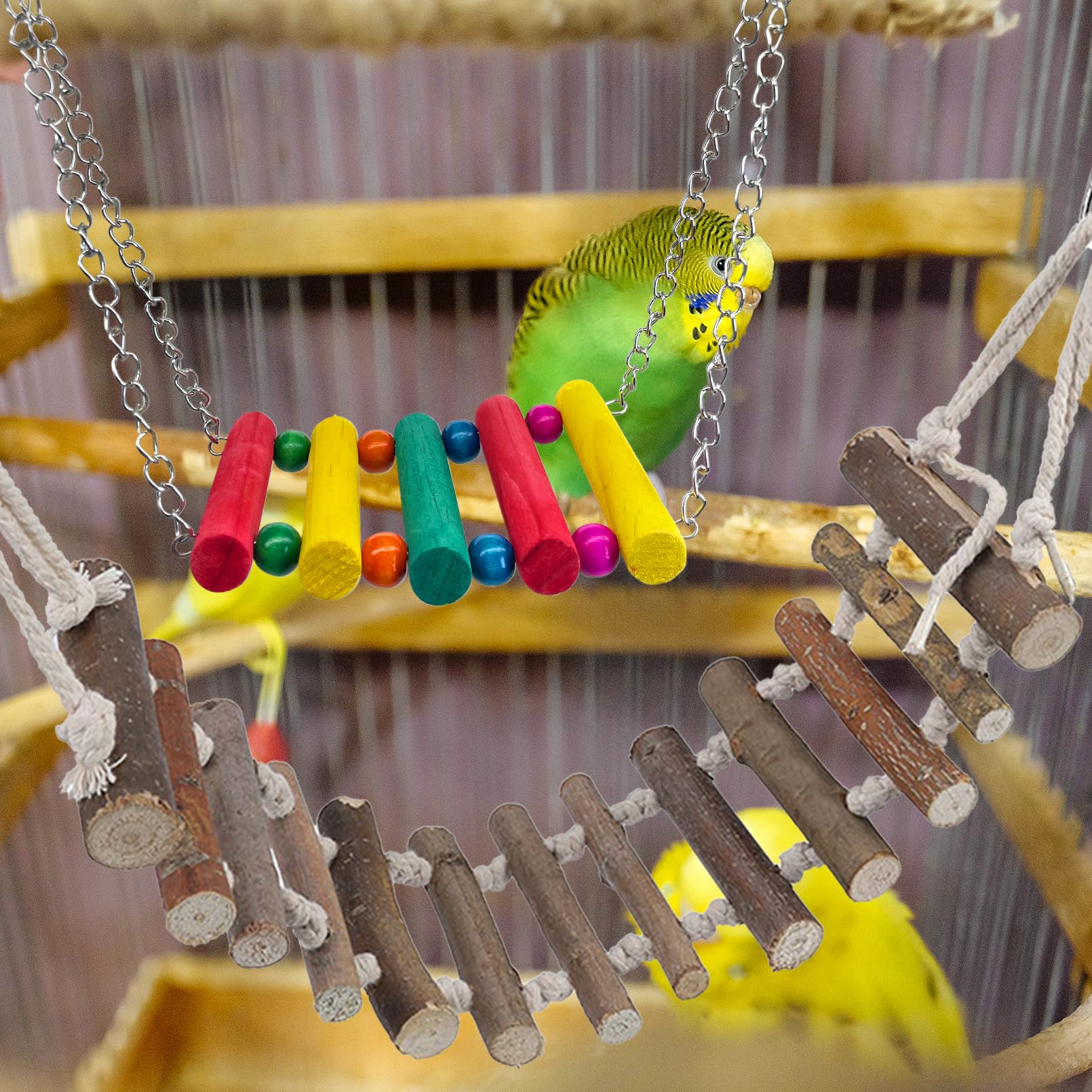 PINVNBY colorful wood toys invite climbing, pecking, and social interaction