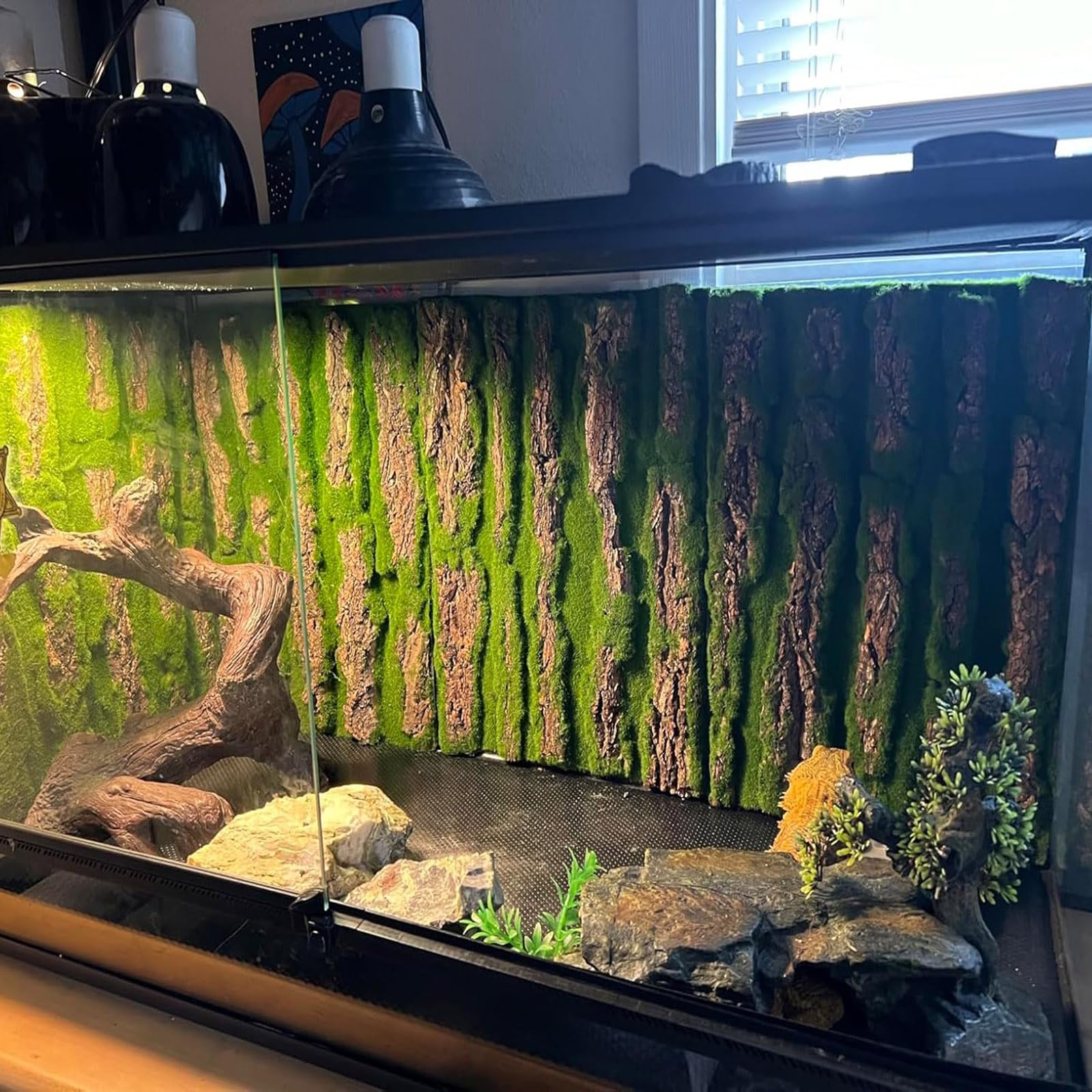 PINVNBY decoracion mural terrario 02, mejora la estética del hábitat