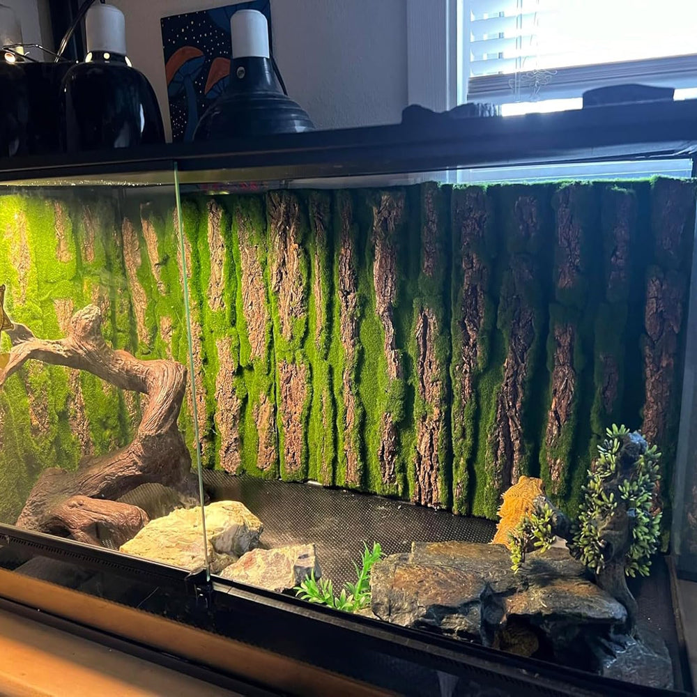 PINVNBY decoracion mural terrario 02, mejora la estética del hábitat