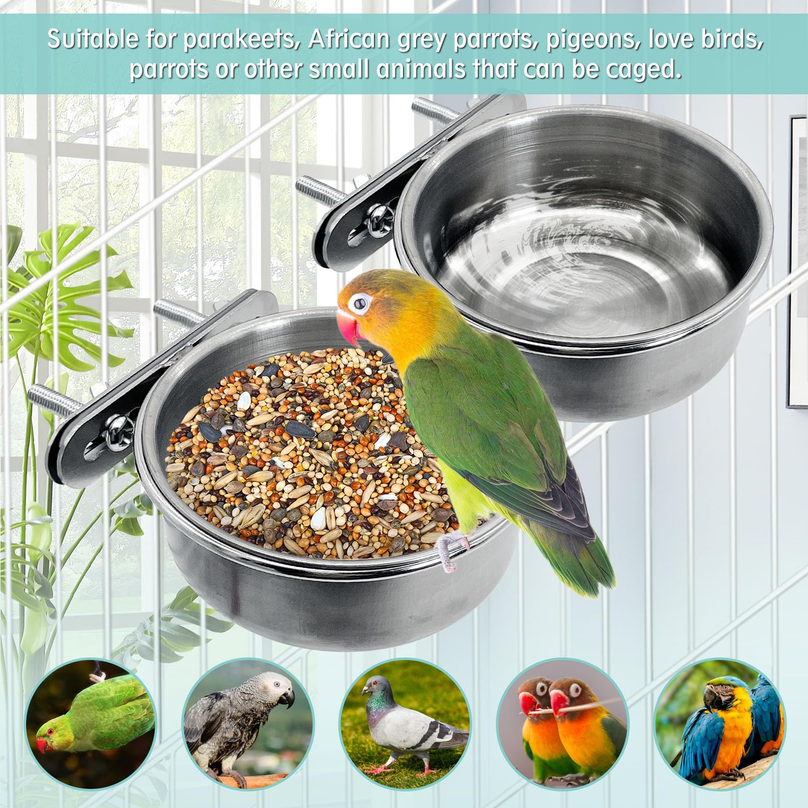 PINVNBY dishwasher safe bowl simplifies cleaning after daily feeding.