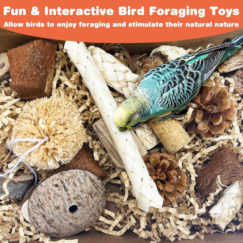 PINVNBY foraging box in room—durable, safe enrichment anywhere.