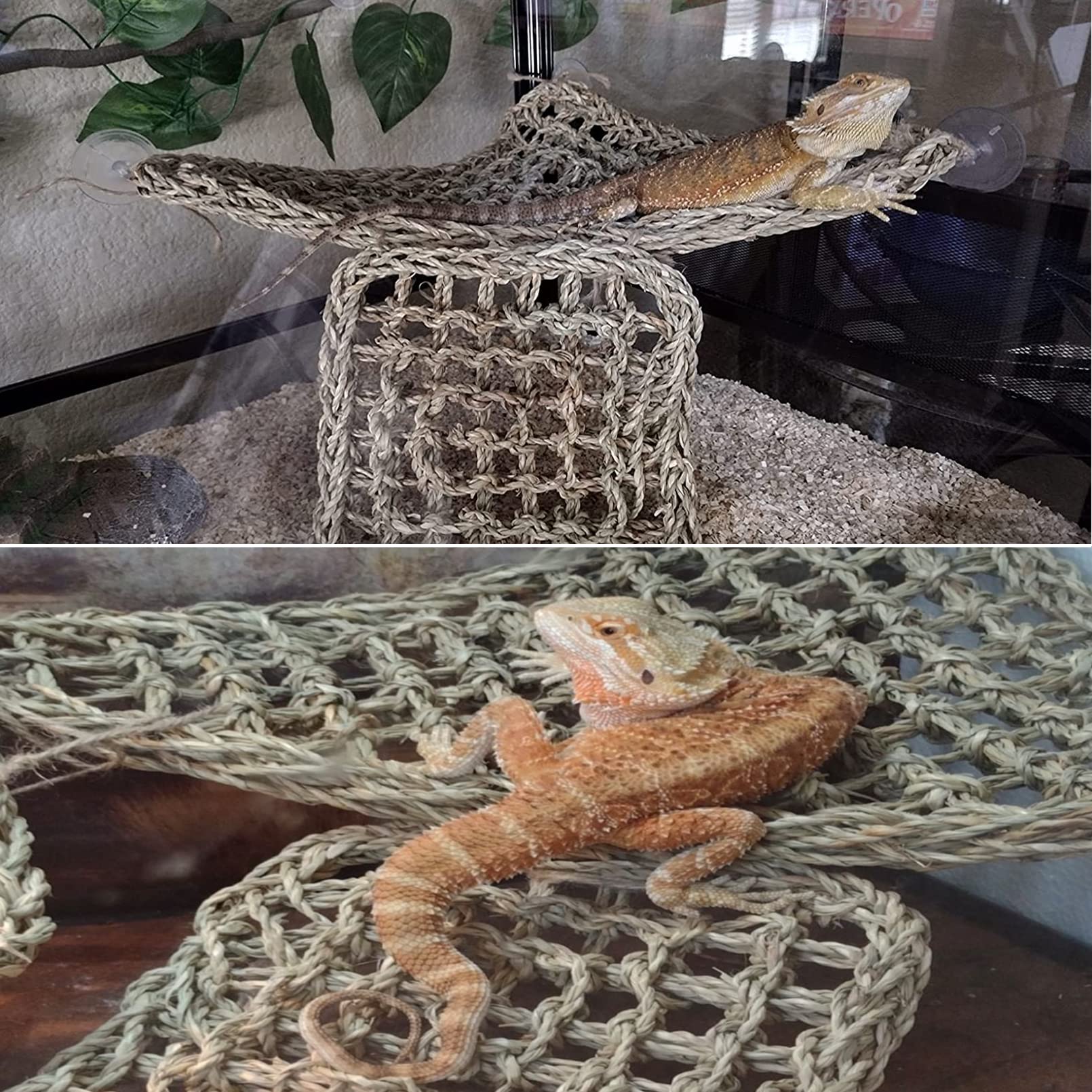 PINVNBY rectangle lizard hammock invites climbing and vertical exploration.