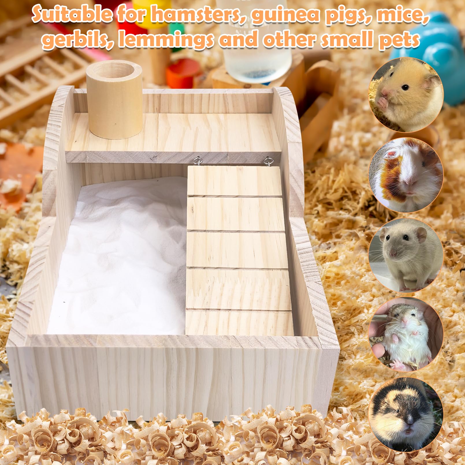 PINVNBY hamsters enjoy cleaning fur with this sand bath setup during playtime
