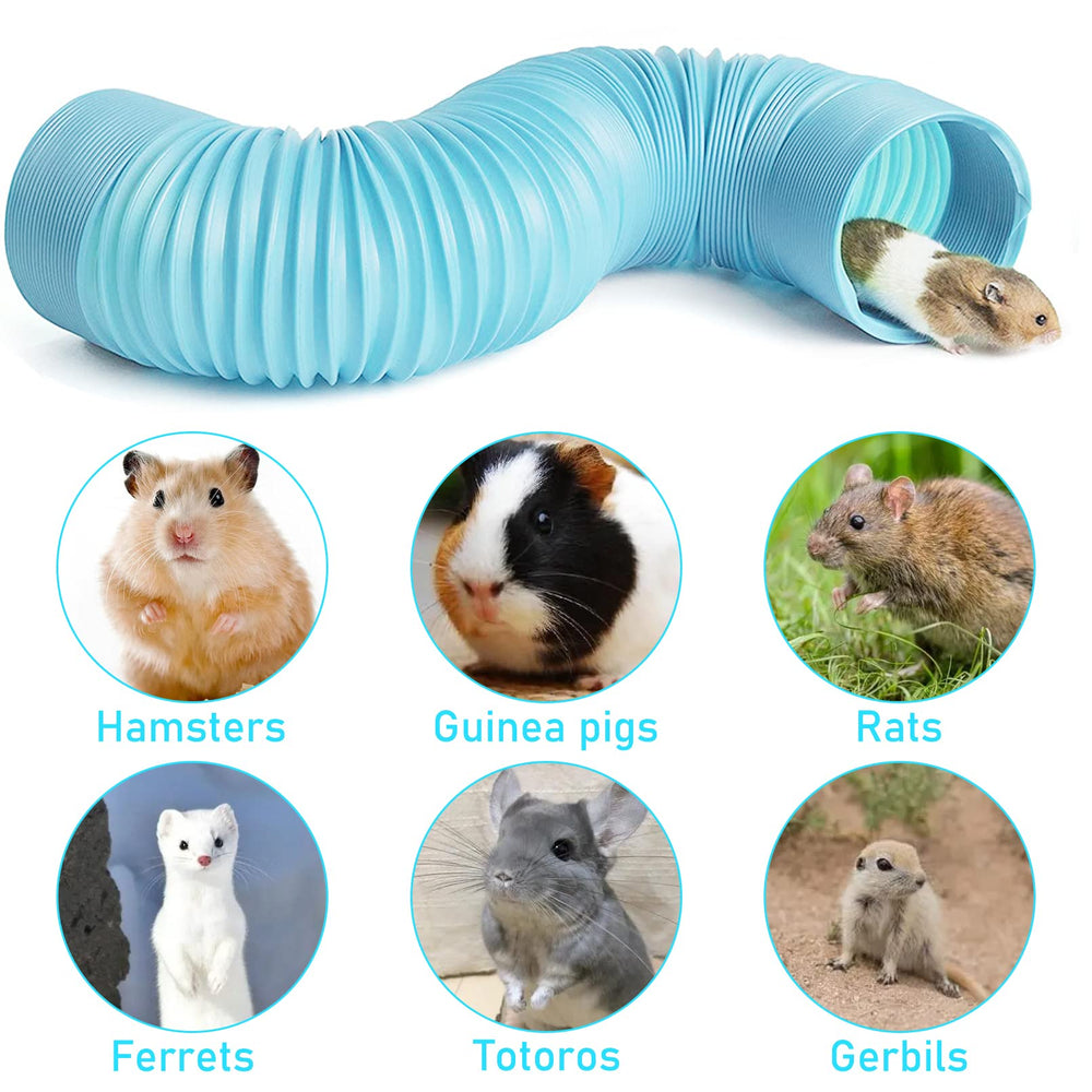 PINVNBY hamster tunnels exercise route image shows multiple paths for enrichment