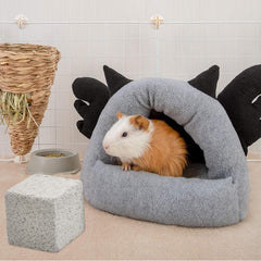 PINVNBY lava block in cage encouraging safe chewing and enrichment.