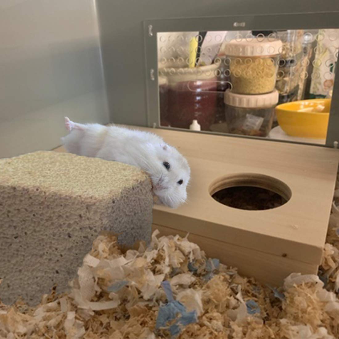 PINVNBY lava blocks chinchilla use promotes natural gnawing