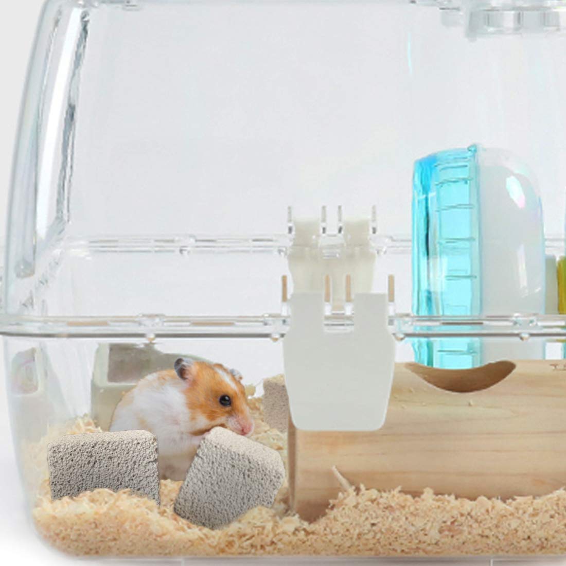 PINVNBY lava blocks hamster chewing action demonstrates safe gnawing